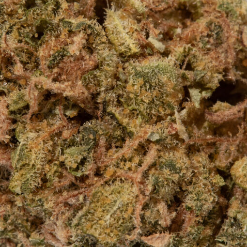 weedsmart_image_Neon Lights (AA)
