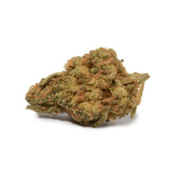 weedsmart_image_Neon Lights (AA)