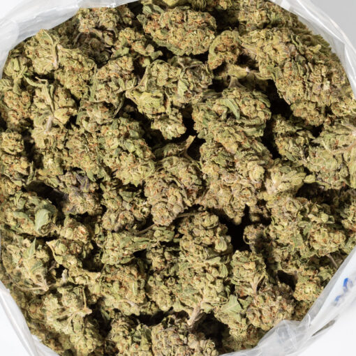 weedsmart_image_Strawberry Guava (AA+)