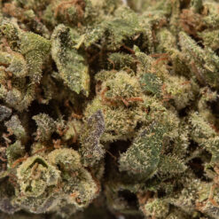 weedsmart_image_Strawberry Guava (AA+)