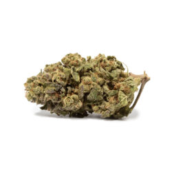 weedsmart_image_Strawberry Guava (AA+)