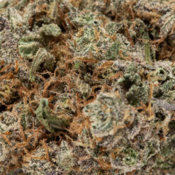weedsmart_image_Blueberry Pie (AAA+)