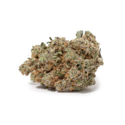 weedsmart_image_Blueberry Pie (AAA+)