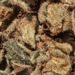 weedsmart_image_Big Bud (AA)