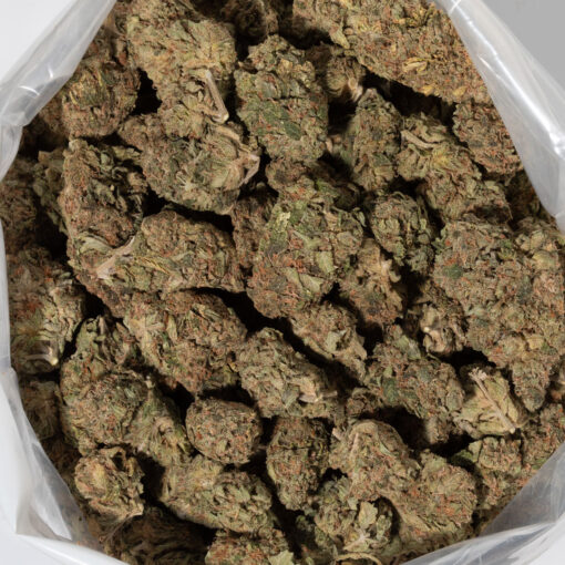 weedsmart_image_Citrus Tsunami (AA)