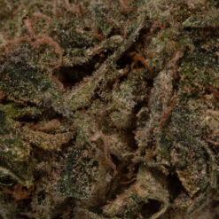 weedsmart_image_Citrus Tsunami (AA)