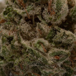 weedsmart_image_Tangerine (AA+/Popcorn)