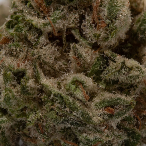 weedsmart_image_Tangerine (AA+/Popcorn)