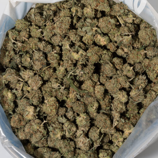 weedsmart_image_Alien Kush (AA)