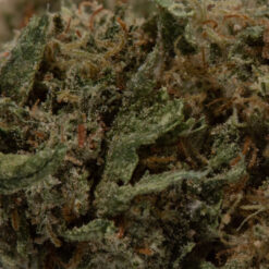 weedsmart_image_Alien Kush (AA)