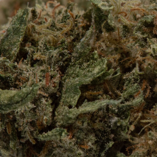 weedsmart_image_Alien Kush (AA)