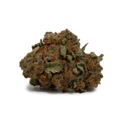 weedsmart_image_Alien Cookies (AA)