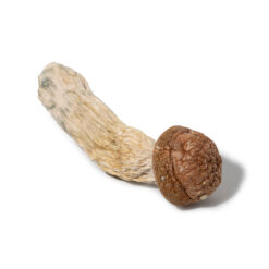 weedsmart_image_Makilla Gorilla