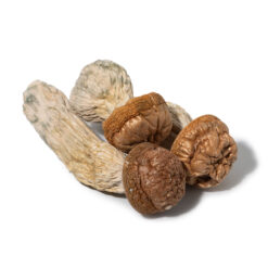 weedsmart_image_Makilla Gorilla