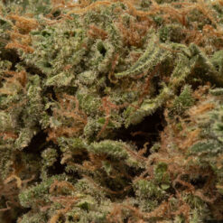 weedsmart_image_Zkittlez (AA+)