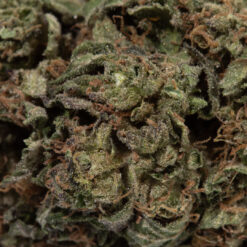 weedsmart_image_Mandarin Cookies (AA+)
