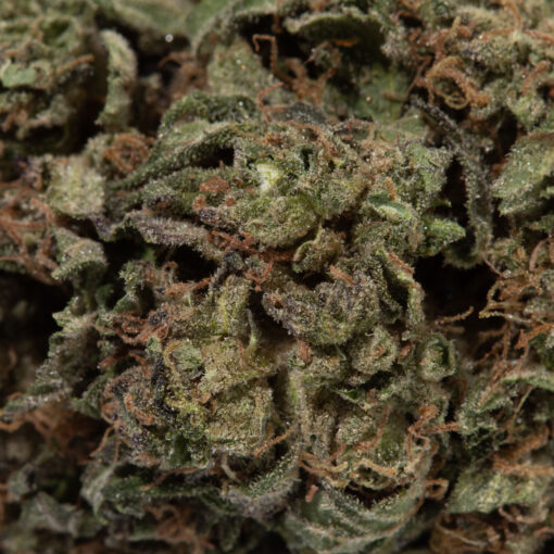 weedsmart_image_Mandarin Cookies (AA+)