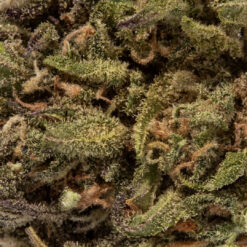 weedsmart_image_Rainbow Sherbert (AA)