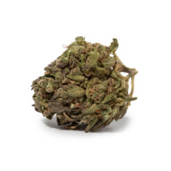 weedsmart_image_Rainbow Sherbert (AA)