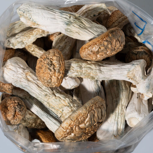 weedsmart_image_Gold Emperor