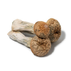 weedsmart_image_Gold Emperor