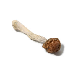 weedsmart_image_Jedi Mind Fuck