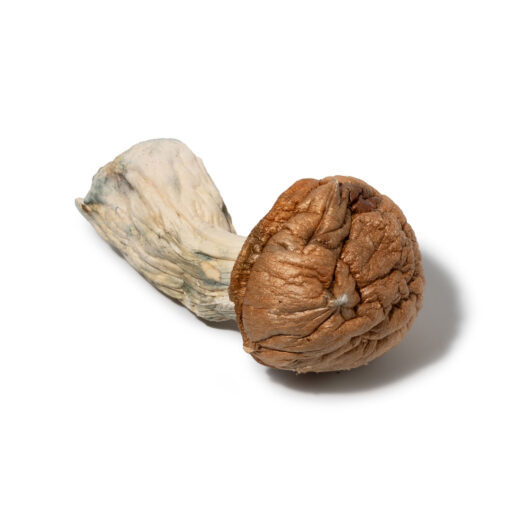 weedsmart_image_Penis Envy