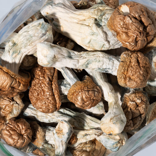 weedsmart_image_Penis Envy