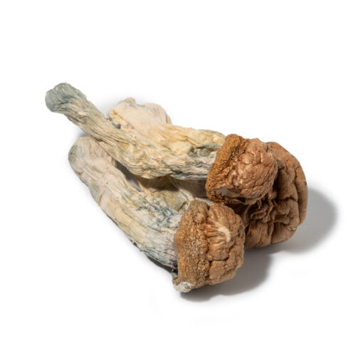 weedsmart_image_Penis Envy