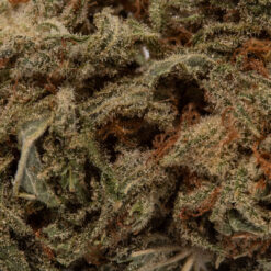 weedsmart_image_Train Wreck (AA+)