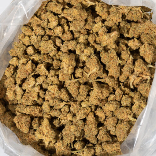 weedsmart_image_Kimbo Kush (AA)