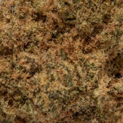 weedsmart_image_Kimbo Kush (AA)