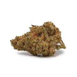 weedsmart_image_Kimbo Kush (AA)