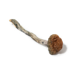 weedsmart_image_Trinity