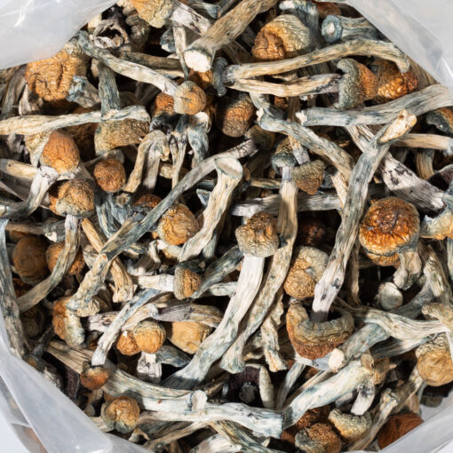 weedsmart_image_Trinity