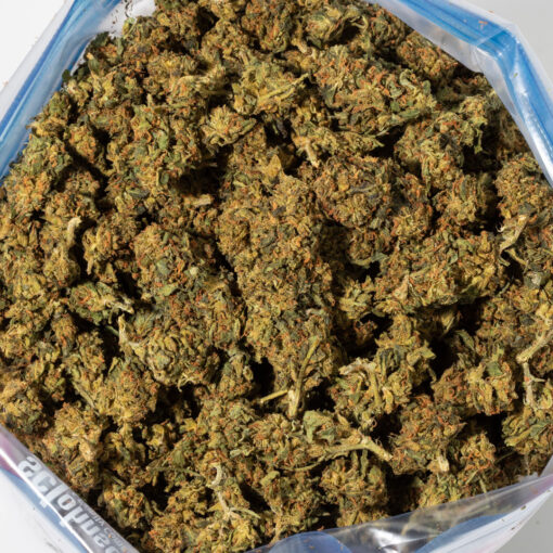 weedsmart_image_Harlequin (AA)