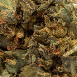 weedsmart_image_Harlequin (AA)