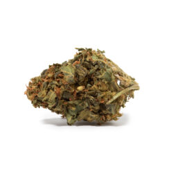 weedsmart_image_Harlequin (AA)