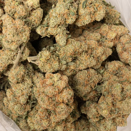 weedsmart_image_Lemon Haze (AAAA)