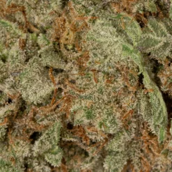 weedsmart_image_Permanent Marker (AAAA)