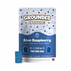 weedsmart_image_Pouches-With-Gummies_Bricks-Blue-Raspberry-scaled-1