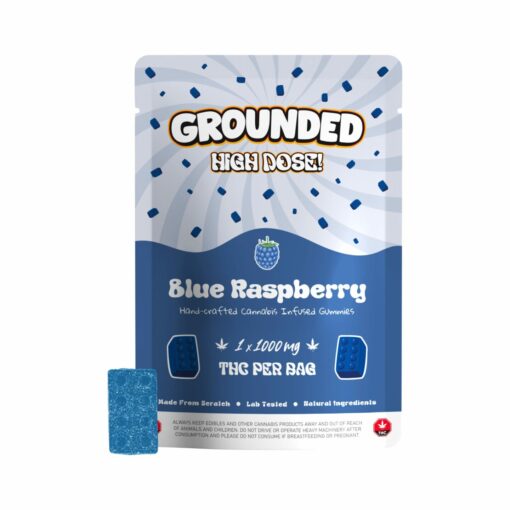 weedsmart_image_Pouches-With-Gummies_Bricks-Blue-Raspberry-scaled-1