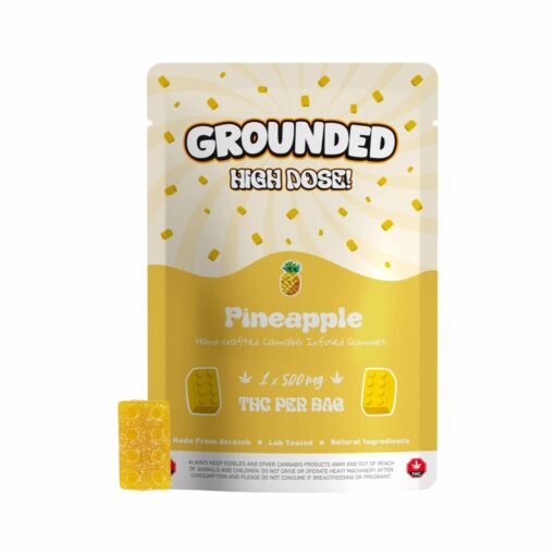 weedsmart_image_Pouches-With-Gummies_Bricks-Pineapple-scaled-1