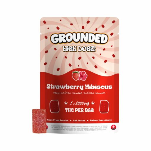 weedsmart_image_Pouches-With-Gummies_Bricks-Strawberry-Hibiscus-scaled-1
