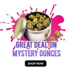 weedsmart_image_Great Deal on Mystery Ounces