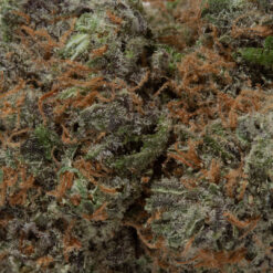 weedsmart_image_Peyote WiFi (AAAA+)