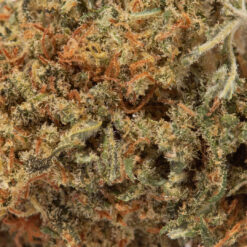 weedsmart_image_Ghost OG (AAAA Popcorn)