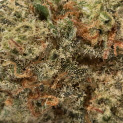 weedsmart_image_Maui Wowie  (AAAA+ Popcorn)