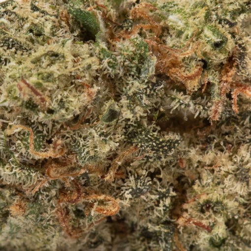 weedsmart_image_Maui Wowie  (AAAA+ Popcorn)