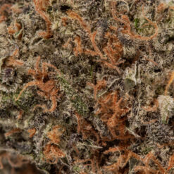 weedsmart_image_Pink Rozay (AAAA+ Popcorn)